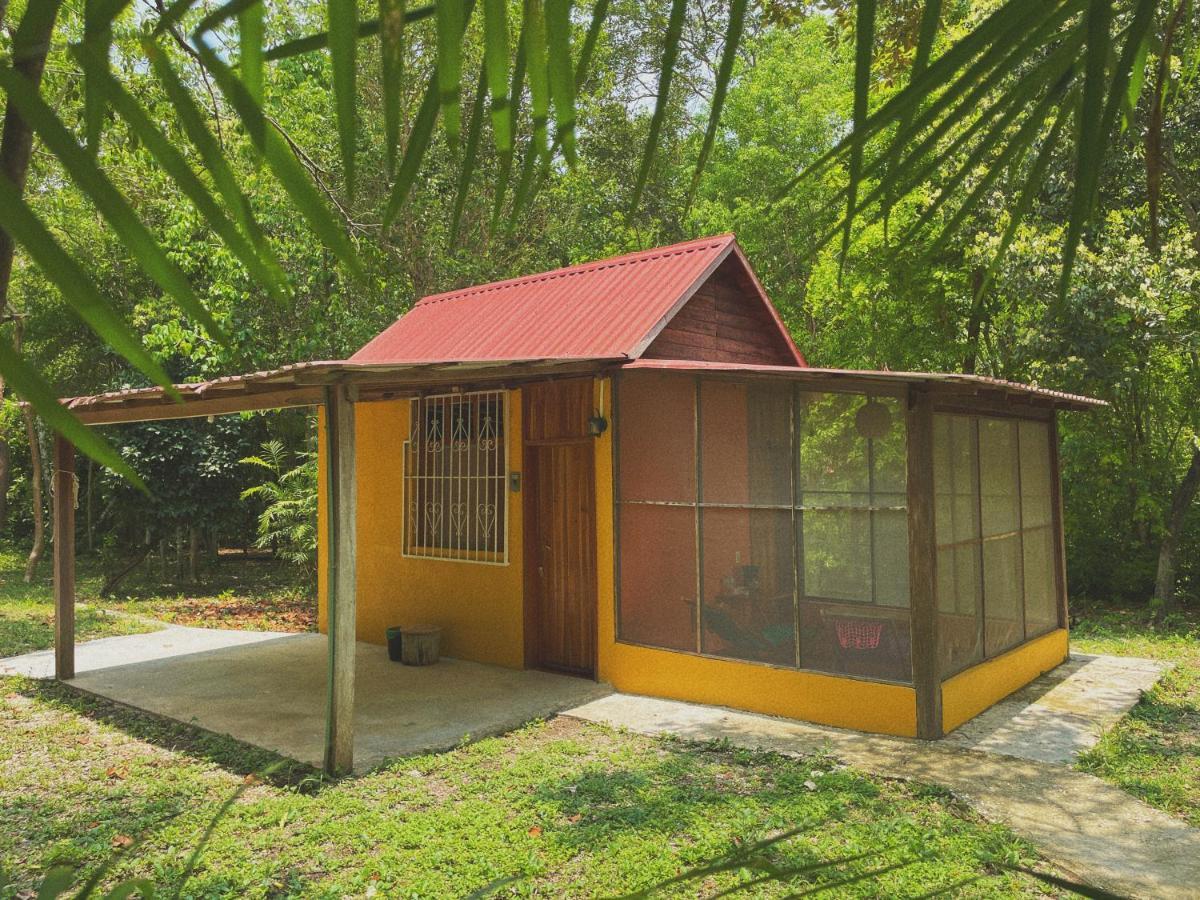 スプヒル Ecohabitat Bed & Breakfast エクステリア 写真