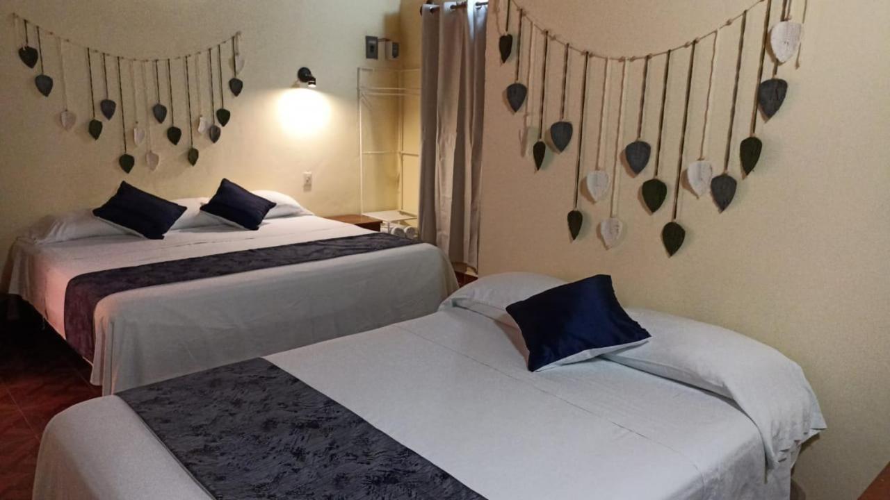スプヒル Ecohabitat Bed & Breakfast エクステリア 写真
